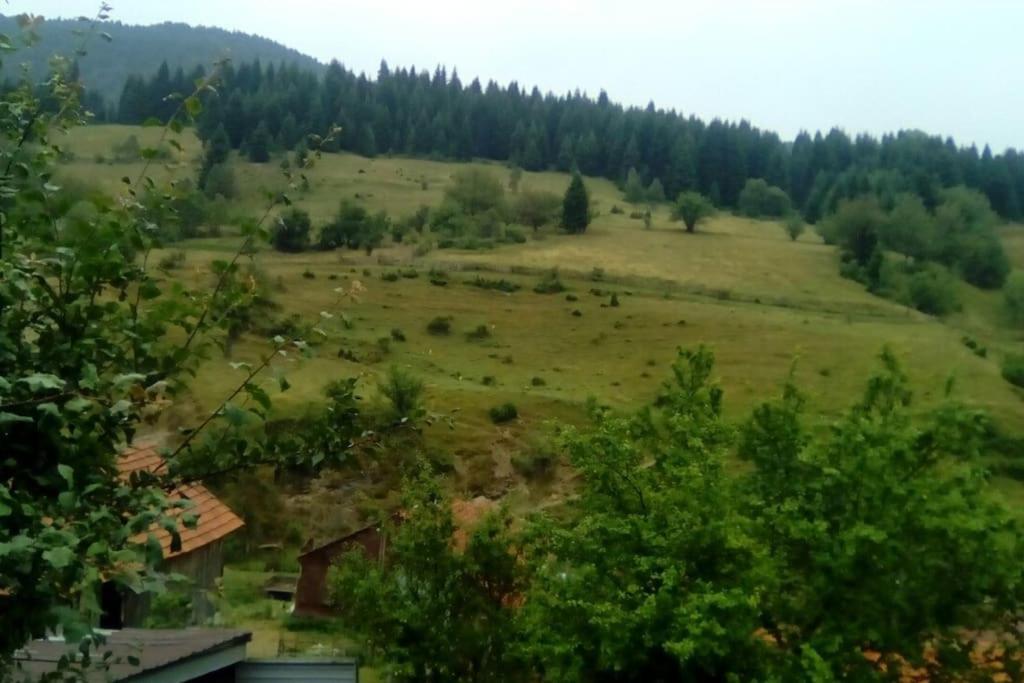 Villa Vrben Экстерьер фото