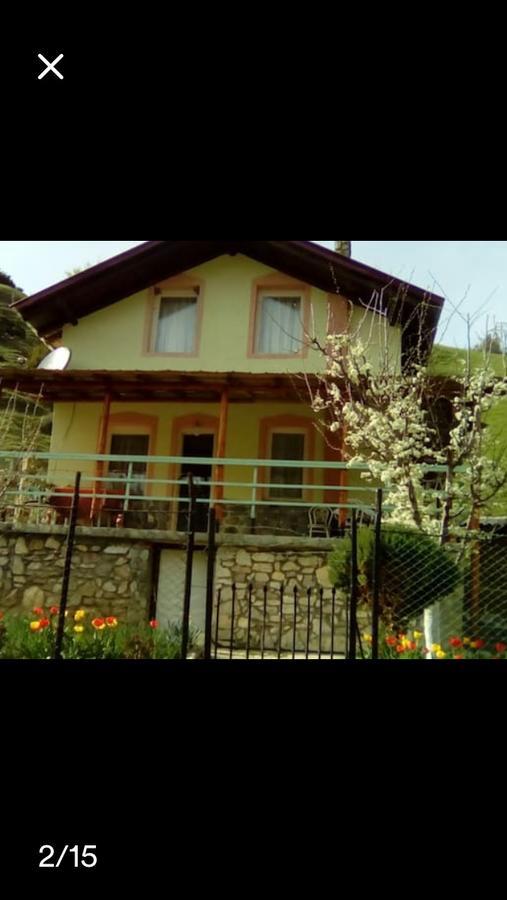 Villa Vrben Экстерьер фото