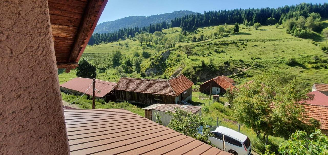 Villa Vrben Экстерьер фото
